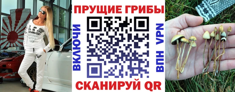 Псилоцибиновые грибы ЛСД  Купить закладки  Апатиты 